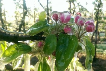 mar.jpg