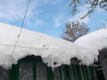 DSCN0277.JPG