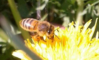 rsz_20170422_115211-1-1.jpg