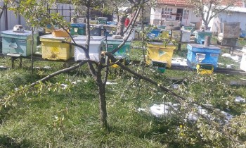 20170422_154907.jpg