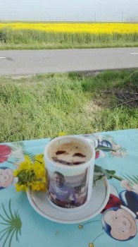 rsz_img_20170427_083722.jpg