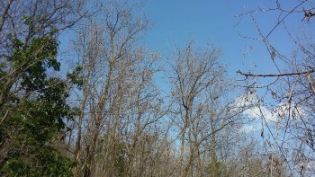 20170503_153624-800x450.jpg