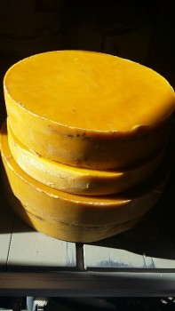 20170410_093405-459x816.jpg
