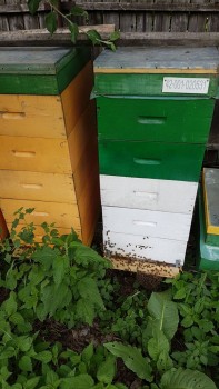 20170531_1750412.jpg