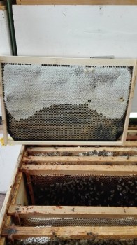 rsz_img_20170524_124158.jpg