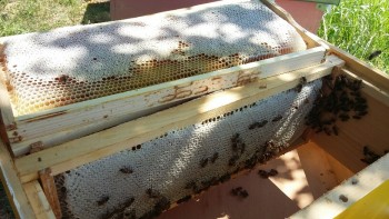 20170628_114509-816x459.jpg