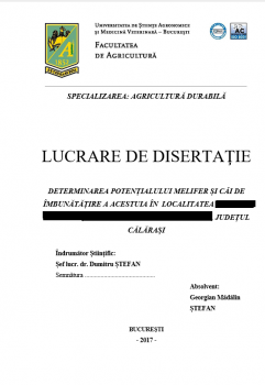 disertatie.png