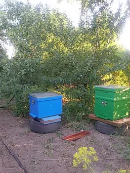 20170715_193351.jpg
