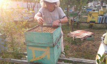 20170722_194251.jpg