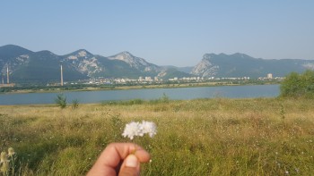 20170812_085500.jpg