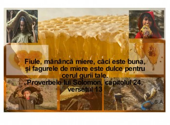 0.fagure.mananca1.jpg