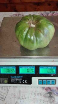 rsz_img_20171004_133746.jpg