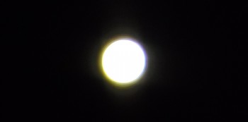 IMGP2158.JPG