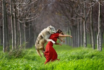 little-red-riding-hood-and-the-wolf.jpg