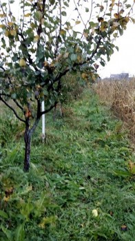 IMG_20171023_103913.jpg