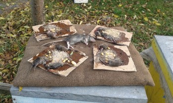 20171028_154207.jpg