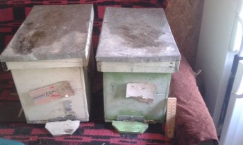 20171218_121016.jpg