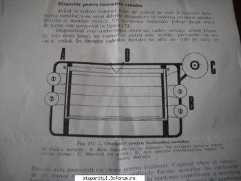 ok_138430.jpg