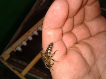 2013-08-08 20.05.36.jpg
