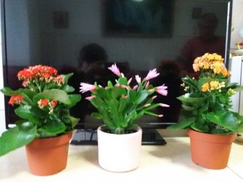 20180308_070739.jpg