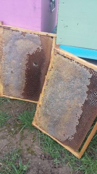20180310_133217-459x816.jpg
