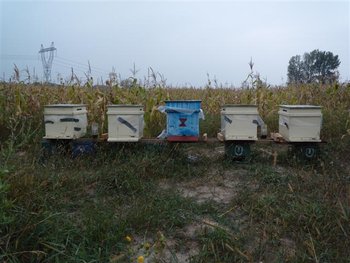 DSCN0435 (Small).JPG