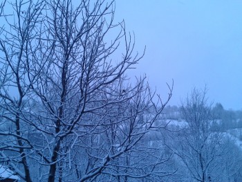 2012-04-08 19.38.44.jpg