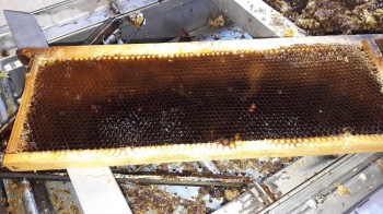 20170718_202641.jpg