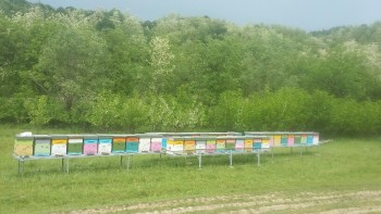 20180505_141806-816x459.jpg