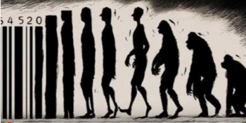 Troglodytes .jpg