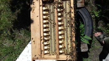 IMG_20180606_57202.jpg