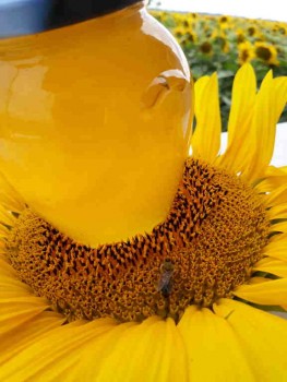 rsz_20180705_175557.jpg