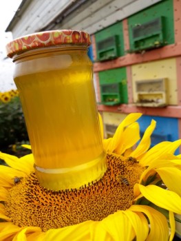 rsz_20180627_145901.jpg