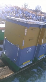 WP_20161211_016.jpg
