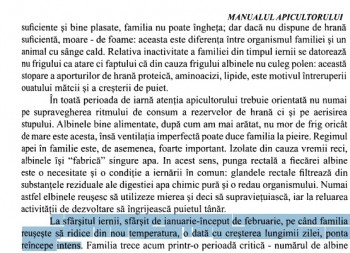 ma1.jpg