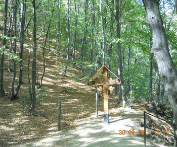 rsz_2dscn1932.jpg