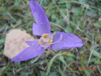 rsz_dscn1944.jpg