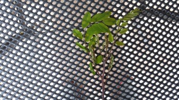20190501_130537_800x450.jpg