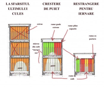 stupi iarna.jpg