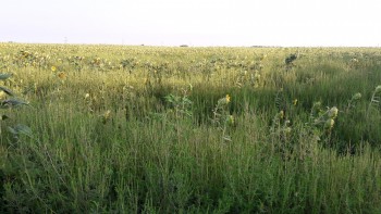 20170814_080611.jpg
