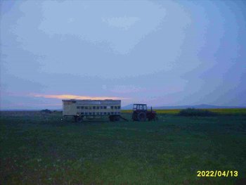 S5000477.jpg