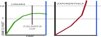 DEZV.jpg