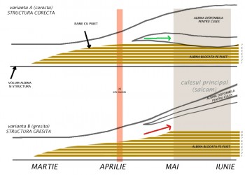 STRUCTURA.jpg