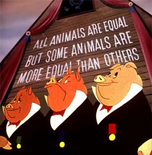 24250701.jpg