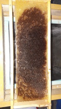 20180314_073838.jpg
