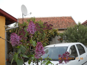 rsz_dscn1987.jpg