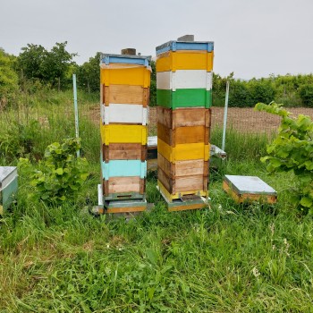 20230606_105533.jpg