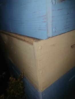 97998124-088c-4998-8648-4eec190053c5.jpeg