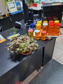 WhatsApp-kép, 2024-11-28, 15.52.38_c9b0ec9b.jpg