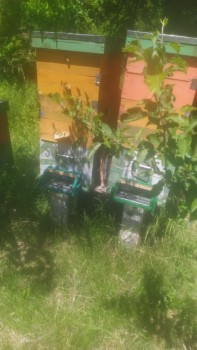 9cb3e064-6cc6-4a84-ba2b-4f75b0af8446.jpg